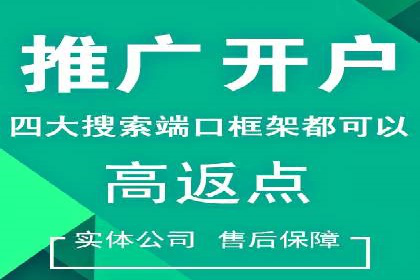 深度解析：百度竞价代理的优化策略与成功案例